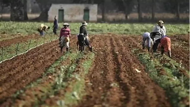 Government calls on farm owners to respect dwellers' rights - SABC News - Breaking news, special reports, world, business, sport coverage of all South African current events. Africa's news leader.