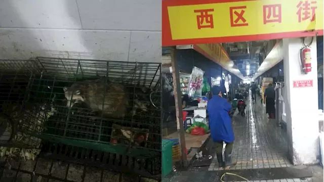 ‘He goes where the fire is’: A virus hunter in the Wuhan market