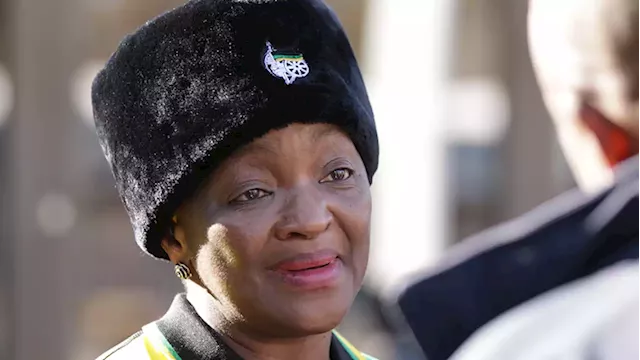 ANC probing Bathabile Dlamini's perjury conviction - SABC News - Breaking news, special reports, world, business, sport coverage of all South African current events. Africa's news leader.