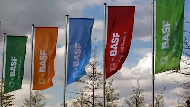 BASF picks Canada to expand supplies for booming EV battery market