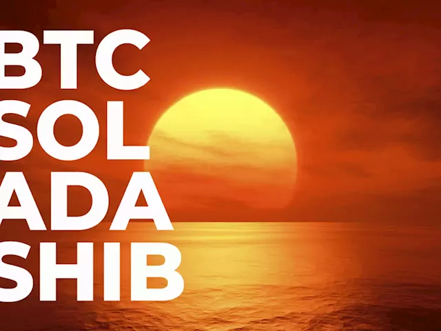 BTC, SOL, ADA, SHIB: Market in Sea of Red