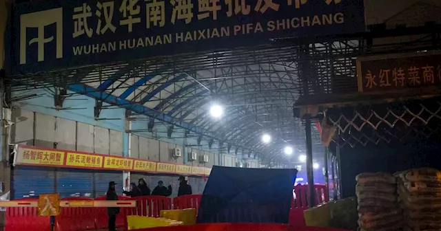 Striking new evidence points to Wuhan seafood market as the pandemic's origin point