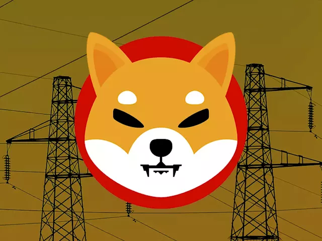 SHIB Payments Now Accepted by Australian Energy Company Through BitPay: Details