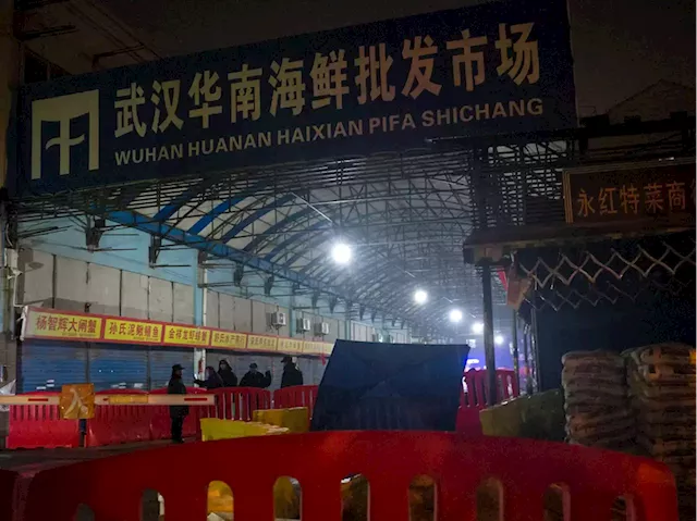 Striking new evidence points to Wuhan seafood market as the pandemic's origin point