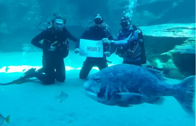 Divers embark on fundraising drive in Cape Town by remaining underwater for 24-hours - SABC News - Breaking news, special reports, world, business, sport coverage of all South African current events. Africa's news leader.