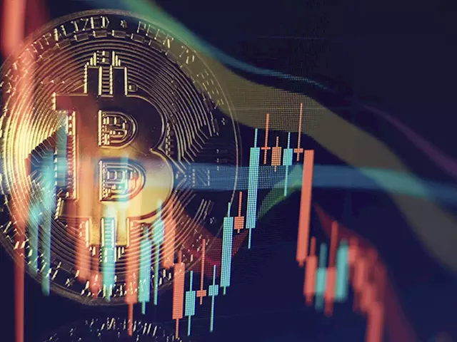 Veteran Trader Peter Brandt Shares Unusual Bitcoin Chart Pattern That Reflects Current Market Conditions