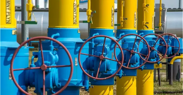 EU unveils plans to reduce dependence on Russian gas by two-thirds | Business Post