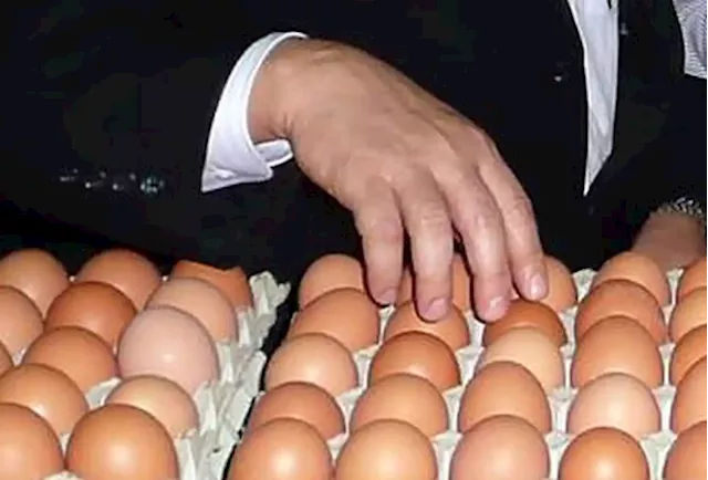 MyCC invites public, enterprises and stakeholder to assist probe into chicken, egg industry