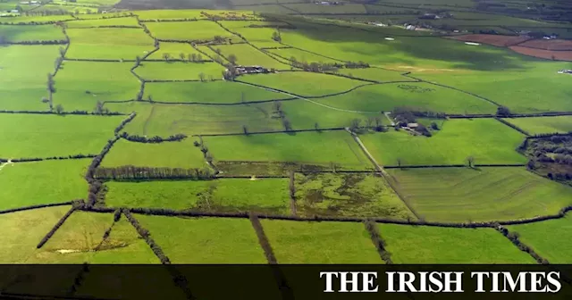 Michael McDowell: Rich must not be allowed use farmland as vehicle for investment