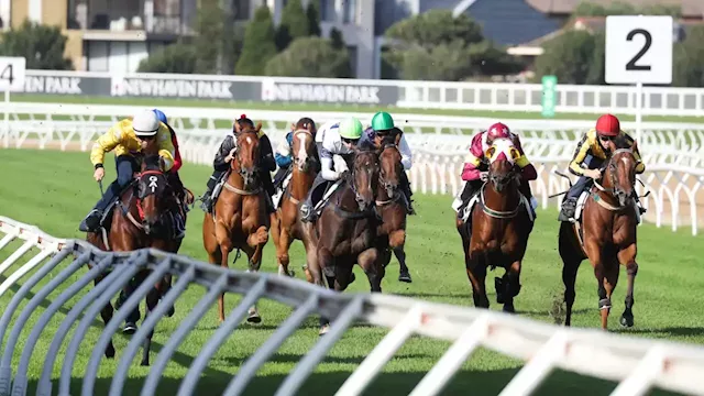 ‘That’s how they roll’: Greens would shut down racing industry despite gambler donation