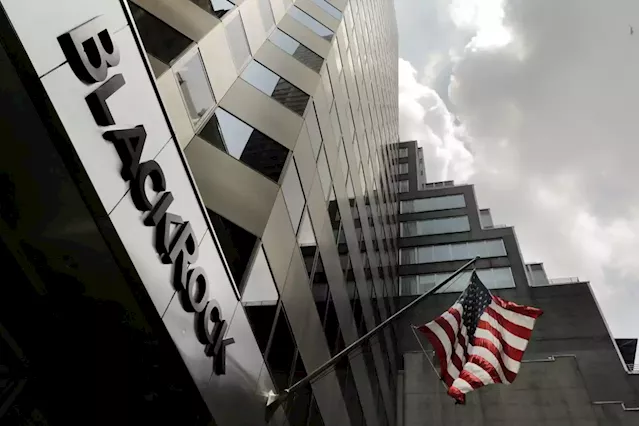 BlackRock says it expects 75% of company and government assets to be net zero-aligned by 2030