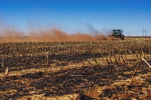 How to bolster your farm’s business resilience