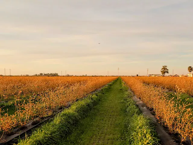 One Investment Firm's Bold Experiment to Finance the Future of American Farming