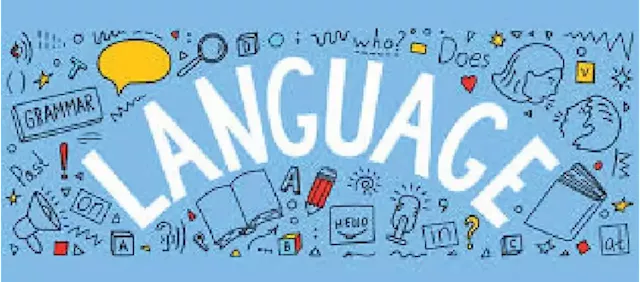 Linguists recommend second-language acquisition to break communication barriers, boost self-esteem - Punch Newspapers