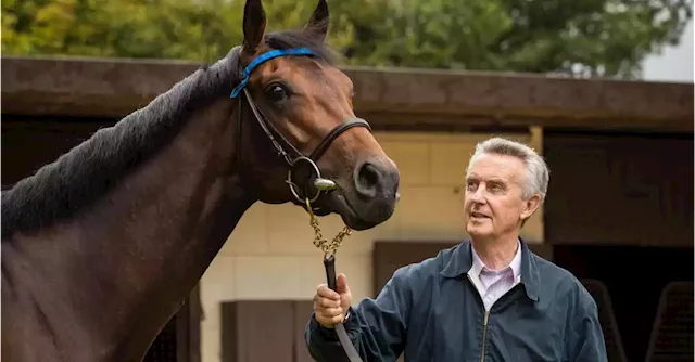 Horse racing legend Bolger sued by stableman over alleged injury | Business Post