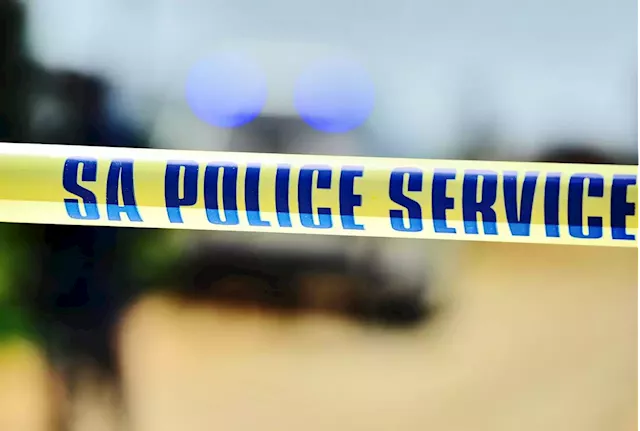 Shooting breaks out at Benoni transport company as cops foil robbery, arrest 12 suspects | News24