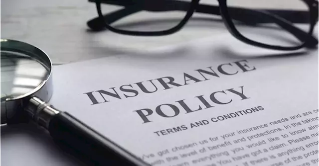 Two in five organisations say insurance is threatening their future | Business Post