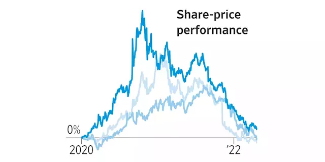 These Stocks Got Hot During the Pandemic. Now They’re Cooling.