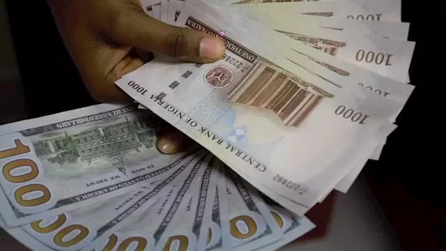 Should we trust market to fix FX puzzle? | The Guardian Nigeria News - Nigeria and World News