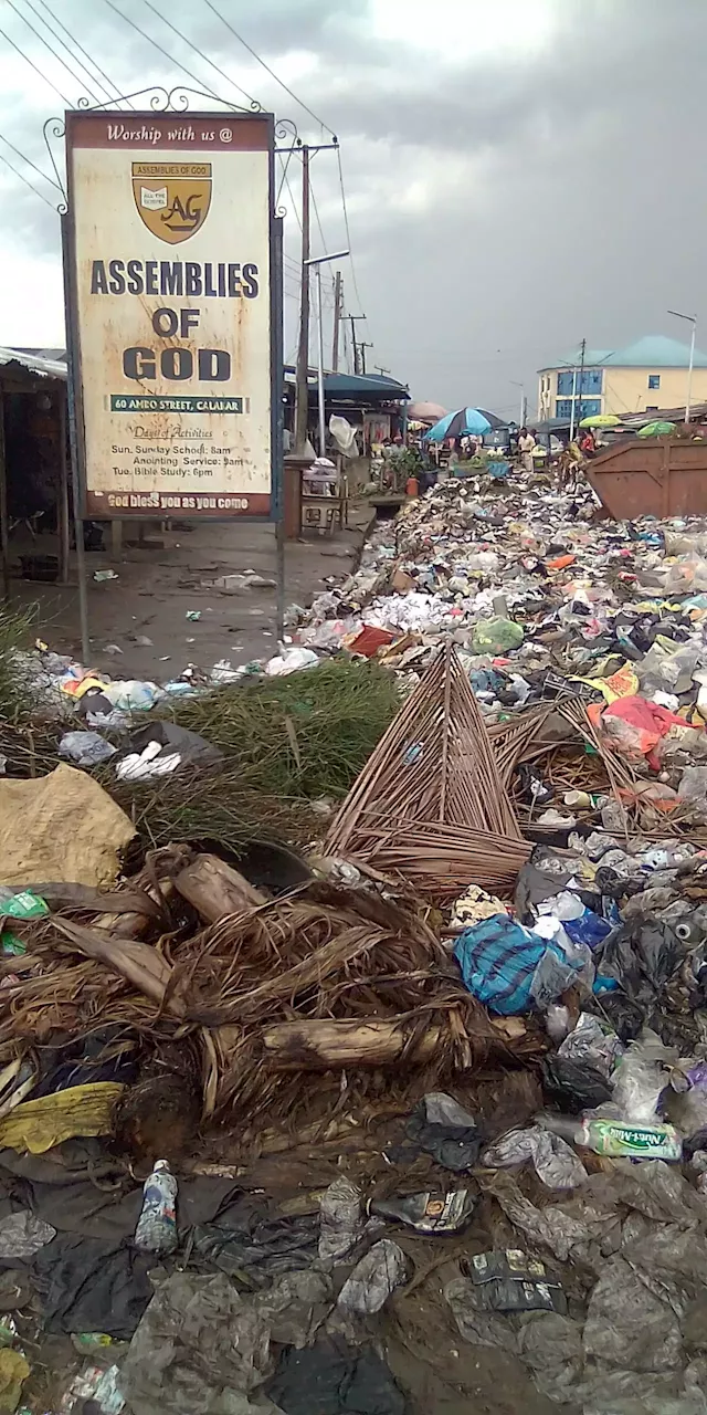 Snake bites market woman, chases away traders in Calabar