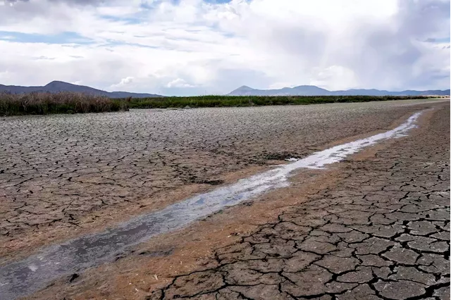 As drought plagues Southern California, water company requires cuts in use