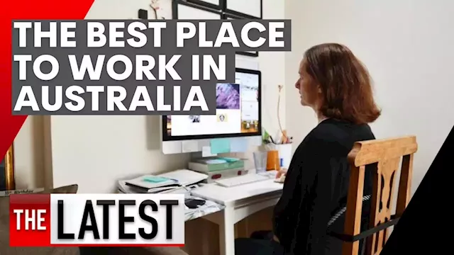 The company named the best to work for in Australia | 7NEWS