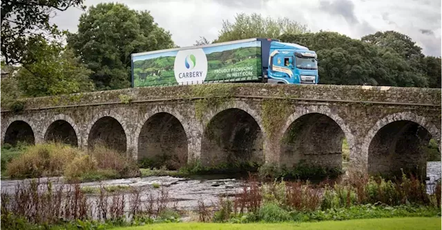 Profits increase for Carbery Group after record year of cheese production | Business Post