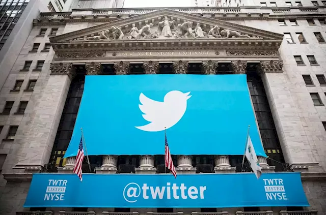 Twitter Reports Increase in Users, Revenue Ahead of Elon Musk Acquisition