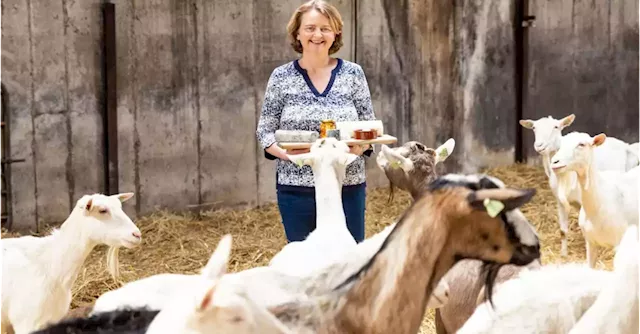 The good life: Siobhán Ní Gháirbhith of St Tola cheese on building a sustainable business, and life with 200 goats | Business Post