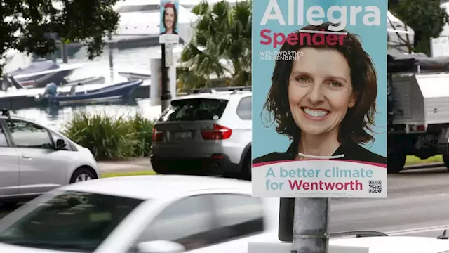 Energy company forced to rip down Allegra Spender election posters