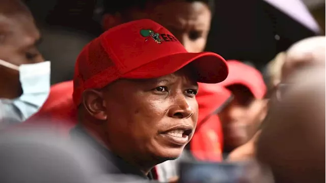 Malema says he's unfazed by criticism from 'Operation Dudula' members - SABC News - Breaking news, special reports, world, business, sport coverage of all South African current events. Africa's news leader.