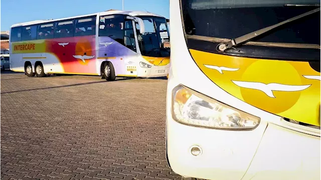 Intercape bus driver killed as violent attacks on the company escalate | News24