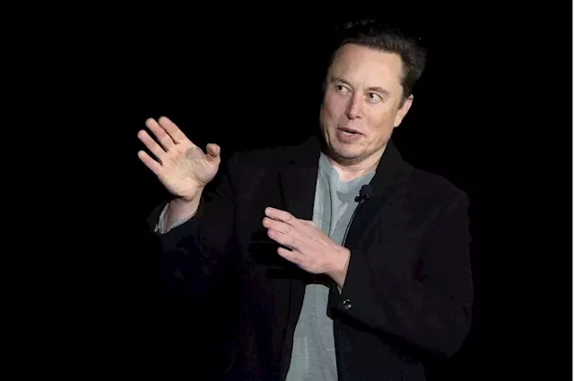 Elon Musk Asks Twitter Users If They Want an Edit Button After Taking a 9% Stake in the Company