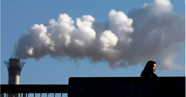 EXCLUSIVE Investors warn European companies over climate accounting