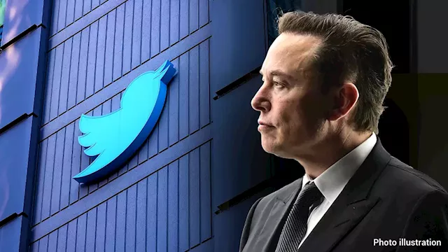 Elon Musk will be 'big problem' for the left: Market analyst