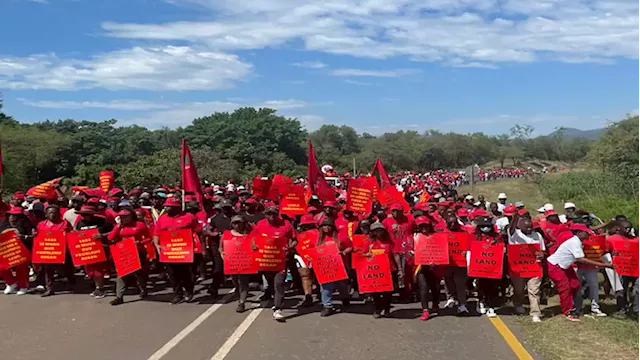 EFF demands disclosure of properties owned by Johann Rupert - SABC News - Breaking news, special reports, world, business, sport coverage of all South African current events. Africa's news leader.