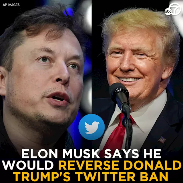 Elon Musk says he would reverse Donald Trump's Twitter ban once he buys company