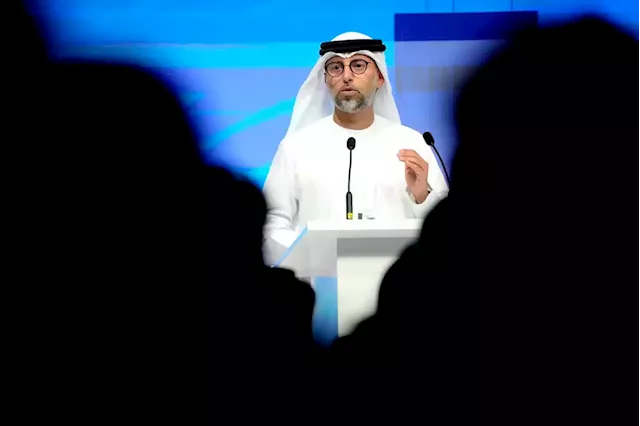 Oil market volatility not linked to OPEC+, UAE energy minister says