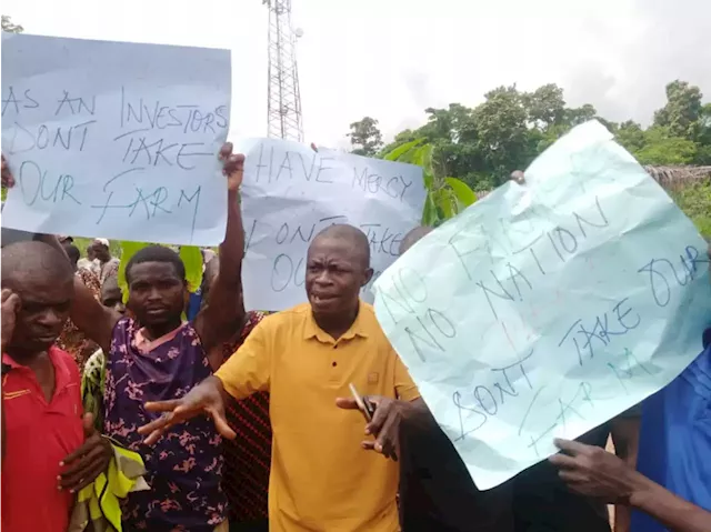 Ondo cocoa farmers protest alleged sale of farmland to Chinese company