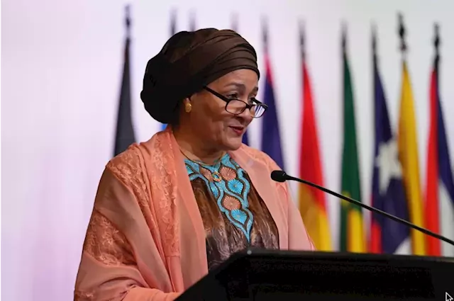 COP15: Amina Mohammed calls for investment in land restoration programmes | TheCable