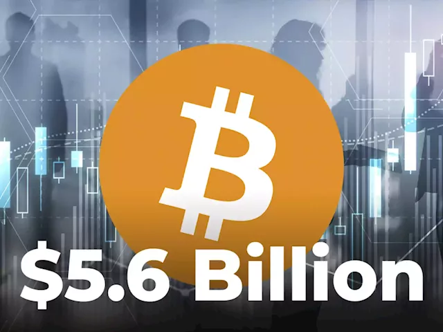 Traders Moved Record-Breaking $5.6 Billion Worth of BTC on Exchanges Amid Market Turmoil