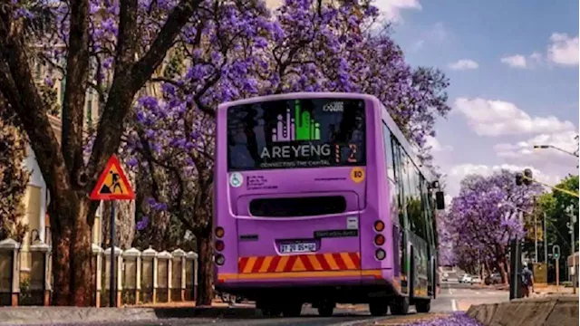 Bus services in Tshwane remain suspended amid Samwu strike - SABC News - Breaking news, special reports, world, business, sport coverage of all South African current events. Africa's news leader.