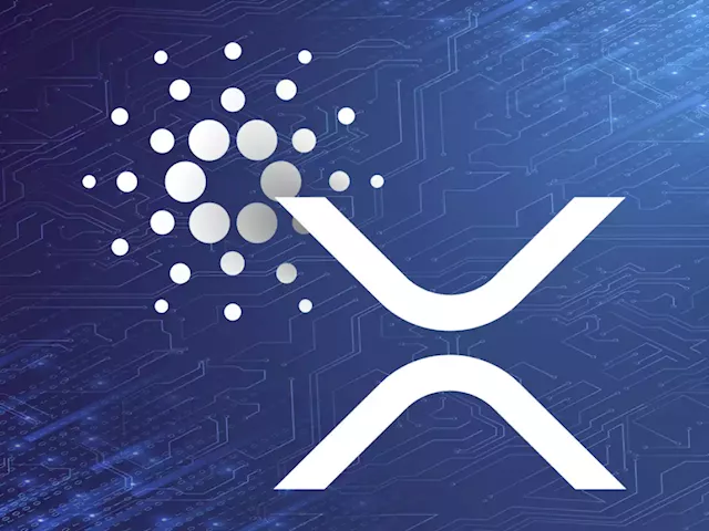 Cardano and XRP Beat Coinbase's Whole Market Capitalization Following Earnings Report