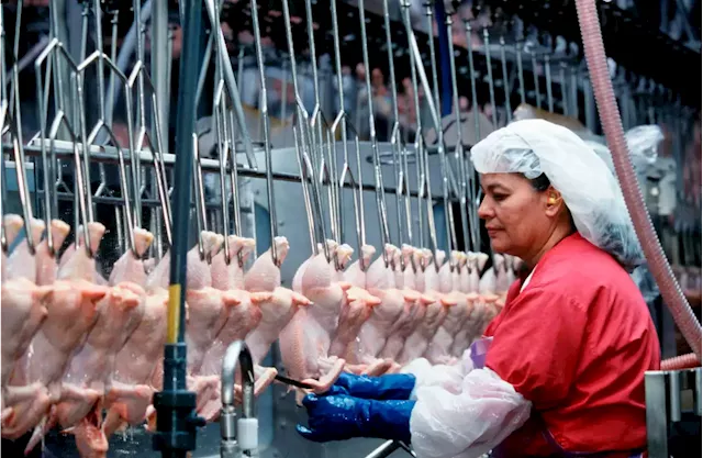 Meatpacking Industry Worked With Trump To Downplay Covid Safety, Report Claims