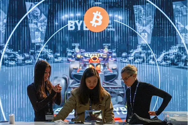 Crypto’s plummet tests the durability of a hype-driven industry