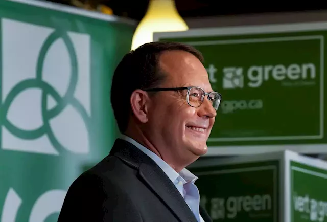 Ontario Green Party platform focuses on climate crisis with $65-billion investment