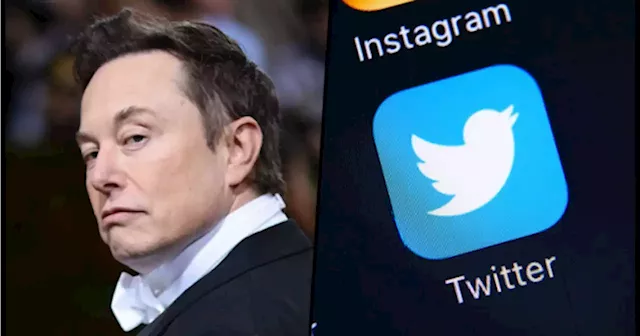 Elon Musk's $44 billion acquisition of Twitter on hold due to fake accounts | JOE.ie