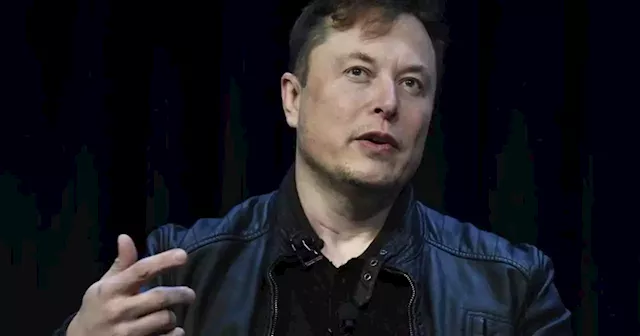 Amid stock market tumble Elon Musk says Twitter deal 'temporarily on hold'