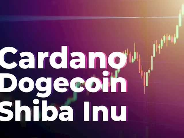 Cardano, Dogecoin, Shiba Inu Post Double-Digit Gains as Market Rebounds