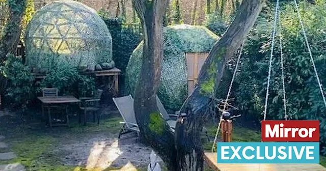 House hunter horrified as dome in landlord's back garden on the market for £750